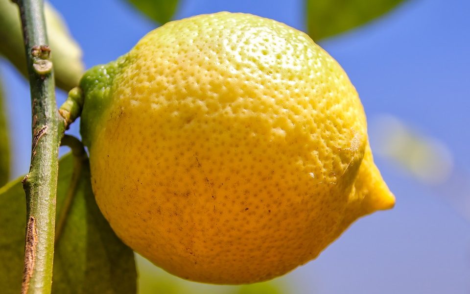 Simpatia do limão para afastar más energias no trabalho